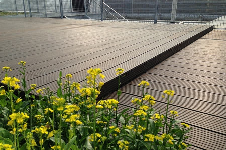 Roof Garden of Vanke Headquarters  exterior 
